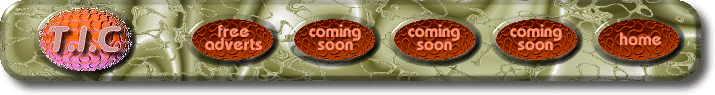 The best place to pick up free advertising space on the web!